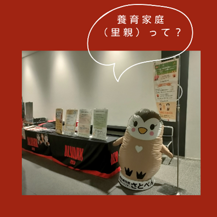 アルバルク東京画像①
